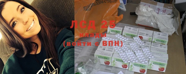 первитин Богданович