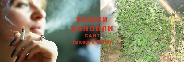 первитин Богданович