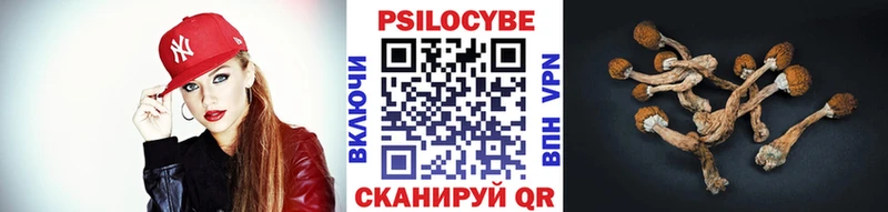 Псилоцибиновые грибы MAGIC MUSHROOMS  цена   Южно-Сухокумск 